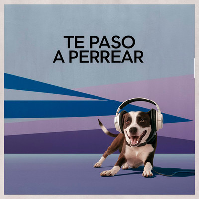 シングル/Te paso a perrear (feat. Ronald Munay)/Nonex Beats