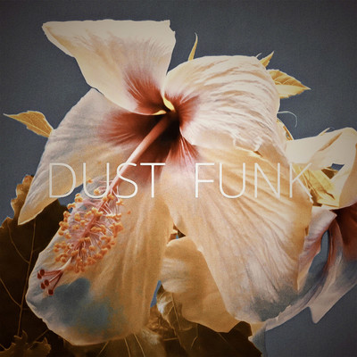 THE TIME/Dust funk