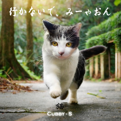 Cubby-S