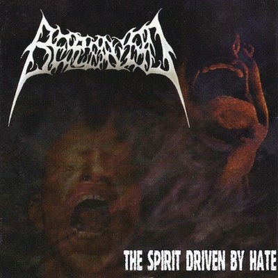 アルバム/THE SPIRIT DRIVEN BY HATE/BEREAVED