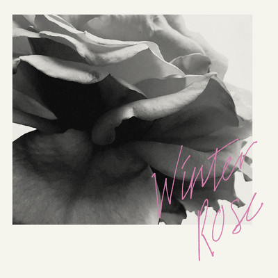 Winter Rose/佐藤奈々子 & 長田進