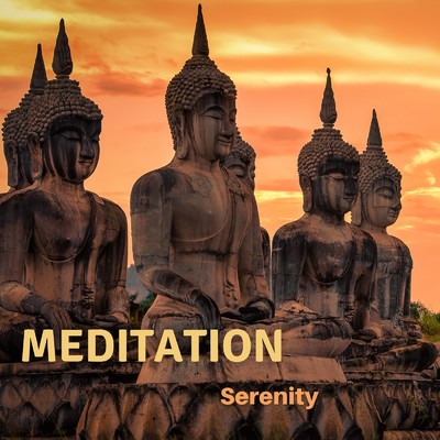 アルバム/Meditation: Serenity/Relax α Wave