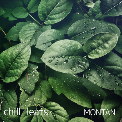 アルバム/chill leafs/MONTAN