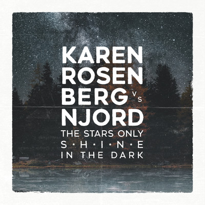 The Stars Only Shine in the Dark/Karen Rosenberg