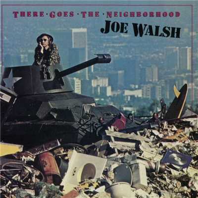 There Goes The Neighborhood/Joe Walsh
