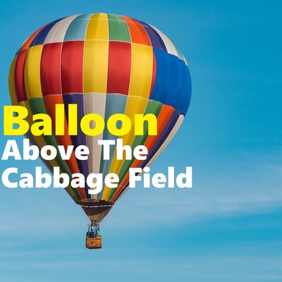 Balloon Above The Cabbage Field/Danto