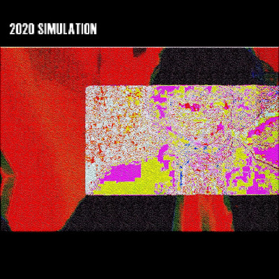 2020 Simulation/taylorponton