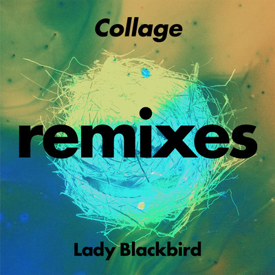 Collage  (Greg Foat Radio Edit)/Lady Blackbird