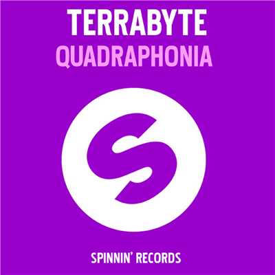 Quadrophonia (Disfunktion Remix)/Terrabyte