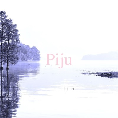 アルバム/Piju/Atelier Pink Noise