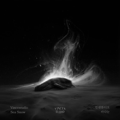 Sea Snow (Feat. Cho Kyu Hyun)/Vincentudio