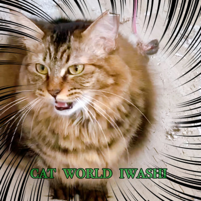 cat world iwashi/俊