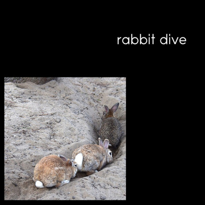 アルバム/rabbit dive/AXEL