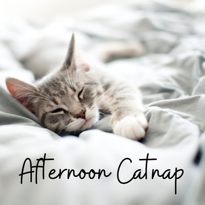 Afternoon Catnap/Relax α Wave