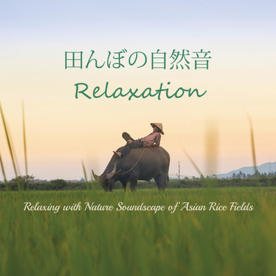 田んぼの自然音Relaxation 〜 Relaxing with Nature Soundscape of Asian Rice Fields/VAGALLY VAKANS