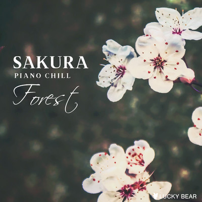 桜の絨毯 -forest edit-/LUCKY BEAR