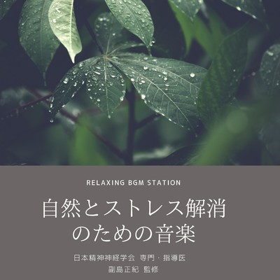 滝/RELAXING BGM STATION