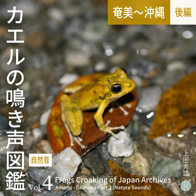 カエルの鳴き声図鑑 Vol.4 奄美〜沖縄 後編 [自然音]/上田秀雄