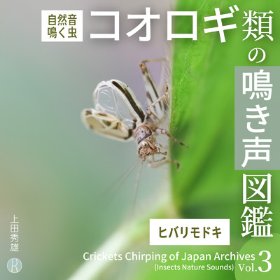 アルバム/コオロギ類の鳴き声図鑑 Vol.3 ヒバリモドキ [自然音・鳴く虫]/上田秀雄