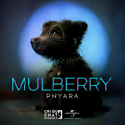 シングル/Mulberry/PHYARA