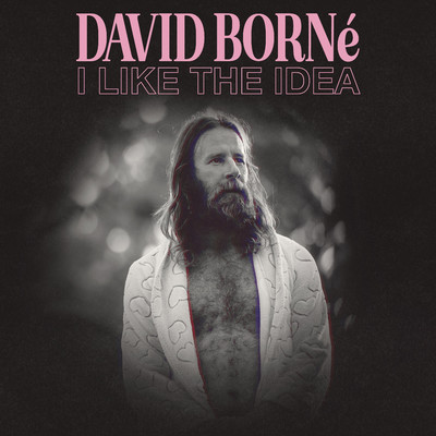 I Like The Idea/David Borne