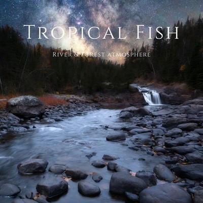 シングル/River & Forest atmosphere/Tropical Fish