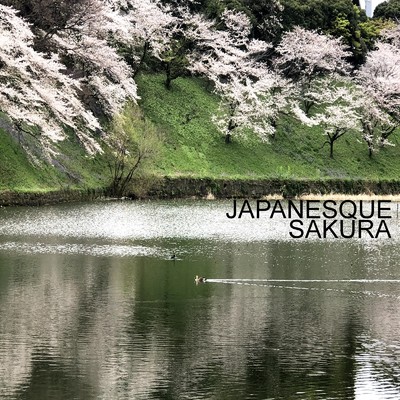 JAPANESQUE ”SAKURA”/秀龍 & 健人