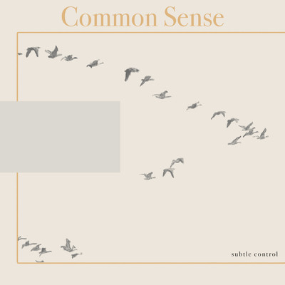 シングル/Common Sense (360 Binaural Ver.)/Subtle Control