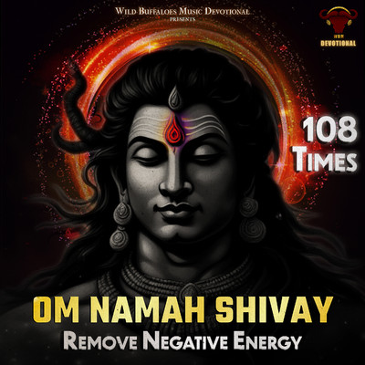 Om Namah Shivay Remove Negative Energy (108 times)/Shubhankar Jadhav