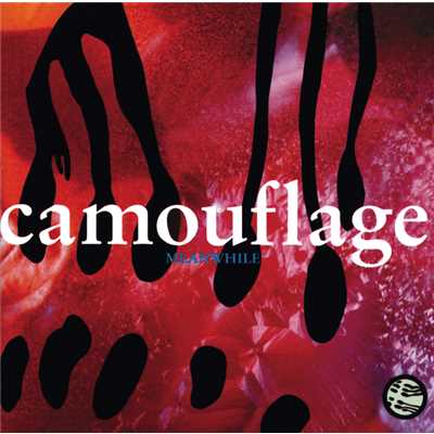 Seize Your Day/Camouflage