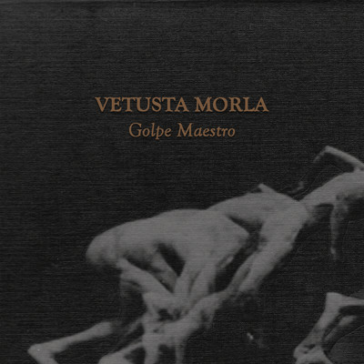 シングル/Golpe Maestro/Vetusta Morla