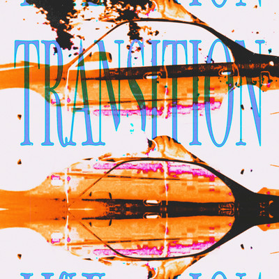 TRANSITION/chiro