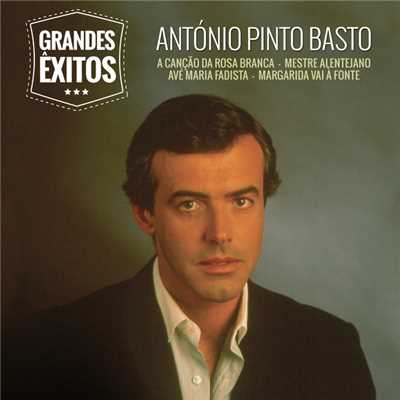 アルバム/Grandes Exitos/Antonio Pinto Basto