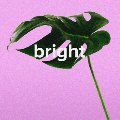Bright/Nick Radwan