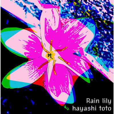 シングル/Rain lily/hayashi toto