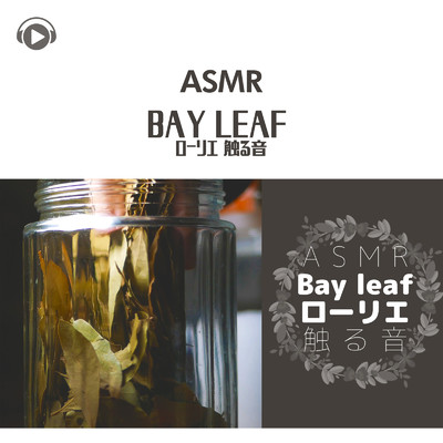 ASMR - Bay leaf ローリエ 触る音/もふもぐ