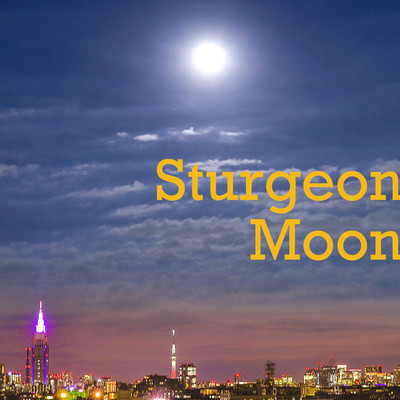 Sturgeon Moon/TEEZVA