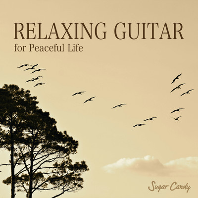 RELAX GUITAR for Peaceful Life/RELAX WORLD