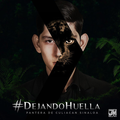 アルバム/Dejando Huella/Pantera De Culiacan Sinaloa