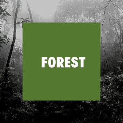 Forest/Tatar Mlleet