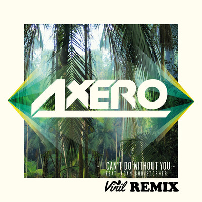 I Can't Do Without You (feat. Adam Christopher) [Vinil Remix]/Axero