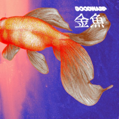 シングル/金魚/GOODWARP