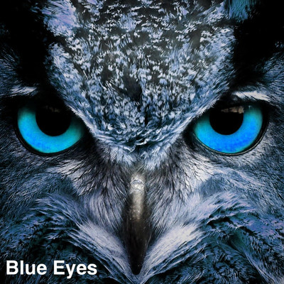 Blue Eyes/三宅章仁