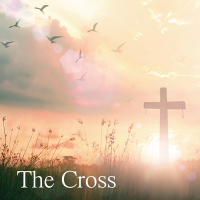 The Cross/中山有太