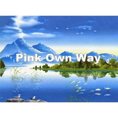 シングル/Pink Own Way/Clear Love