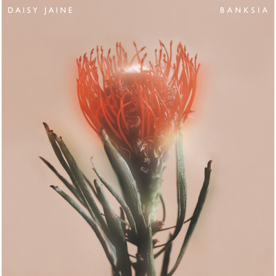 アルバム/Banksia/Daisy Jaine