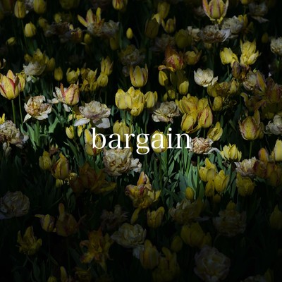 bargain/白神 真志朗