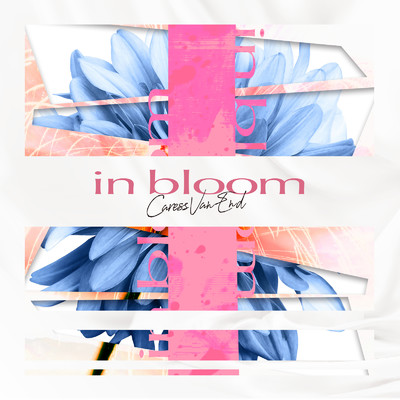 アルバム/in bloom/Caress Van End