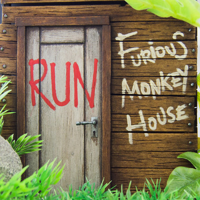 アルバム/Run/Furious Monkey House