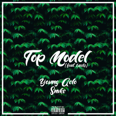 Top Model (feat. $acks)/Snvke／Young Gelo